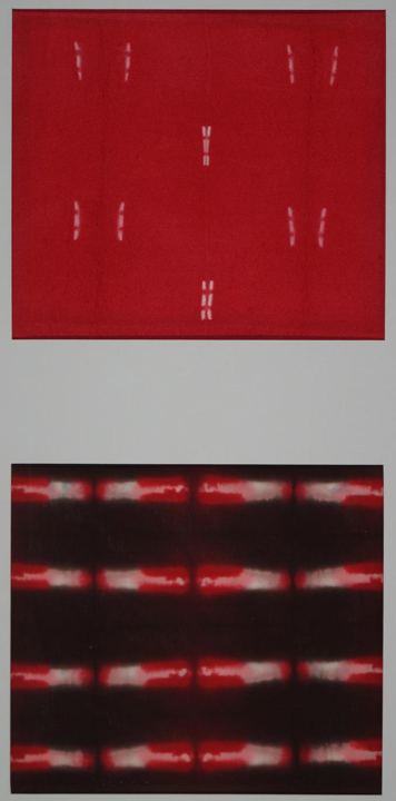 Studies in Polychrome